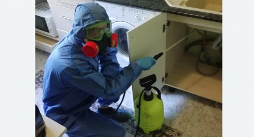 Уничтожение муравьев в квартире. Городище