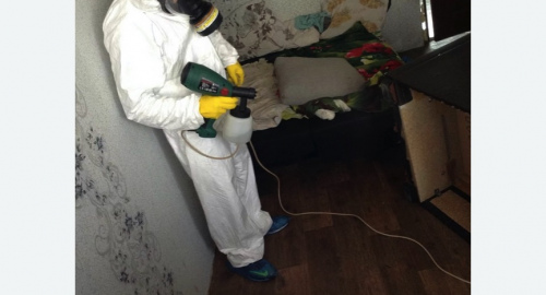 Обработка квартир от насекомых в Городище