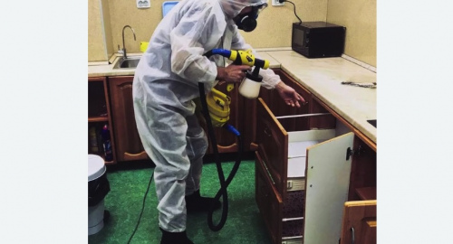 Дезинсекция квартиры. Городище