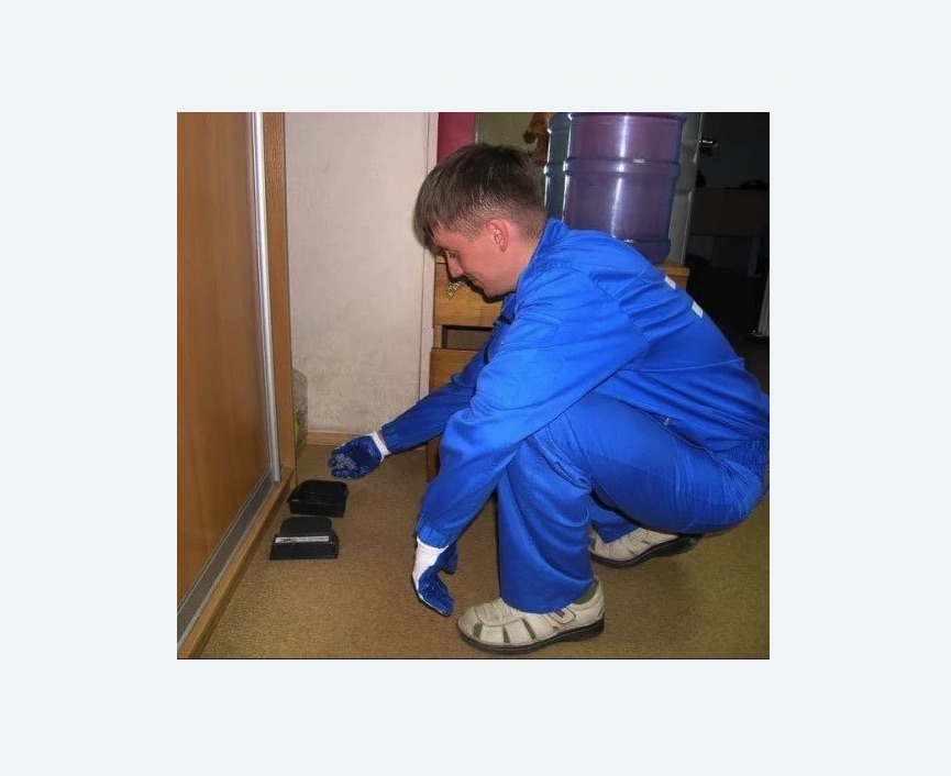 Дератизация крыс Дератизация крыс в Городище