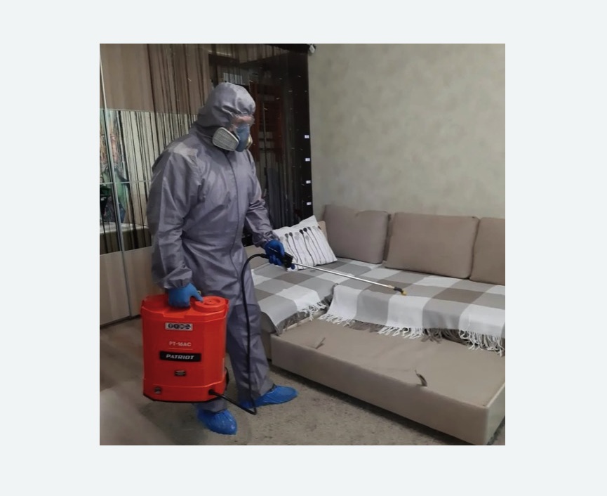 Обработка квартиры от блох в Городище Обработка квартиры от блох