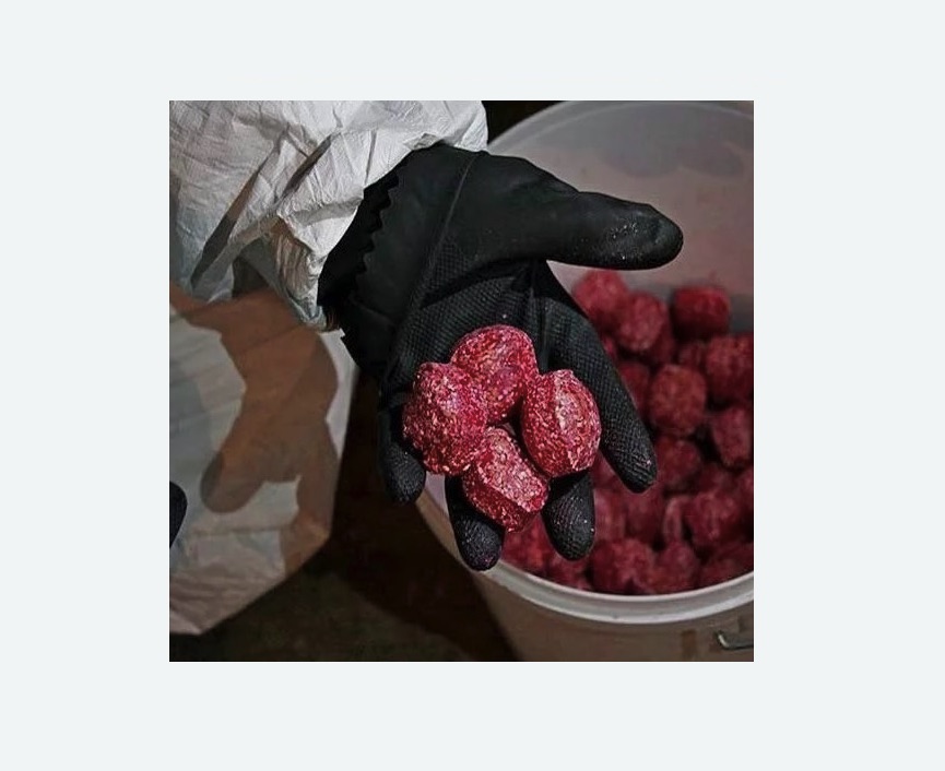 Обработка от крыс Обработка от крыс в Городище