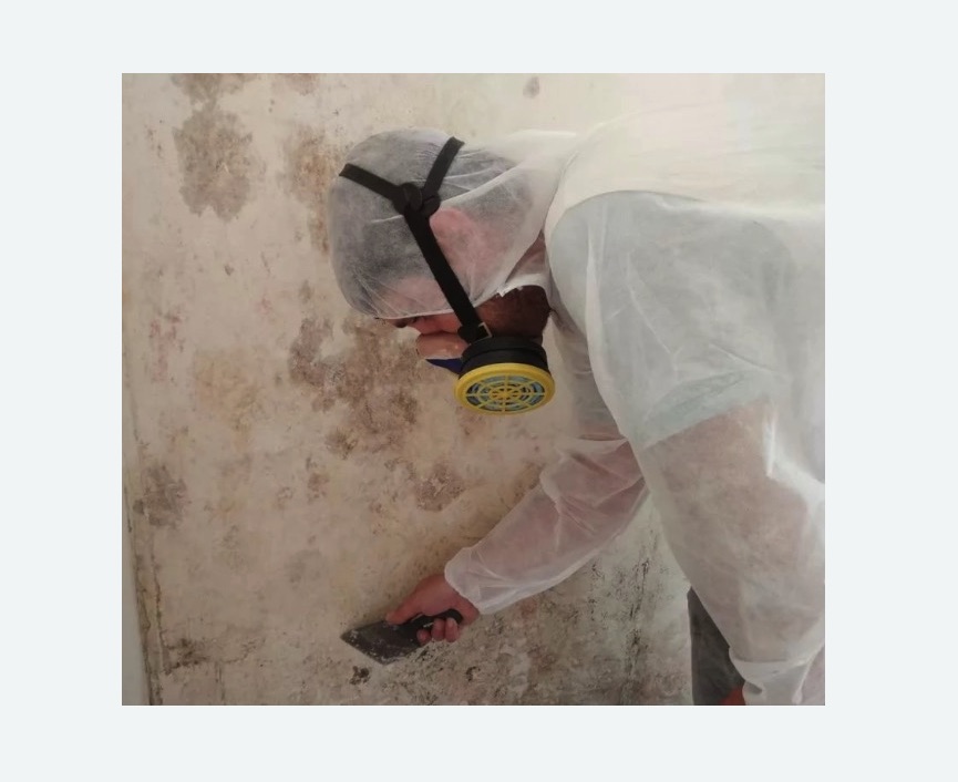 Обработка стен от плесени в Городище