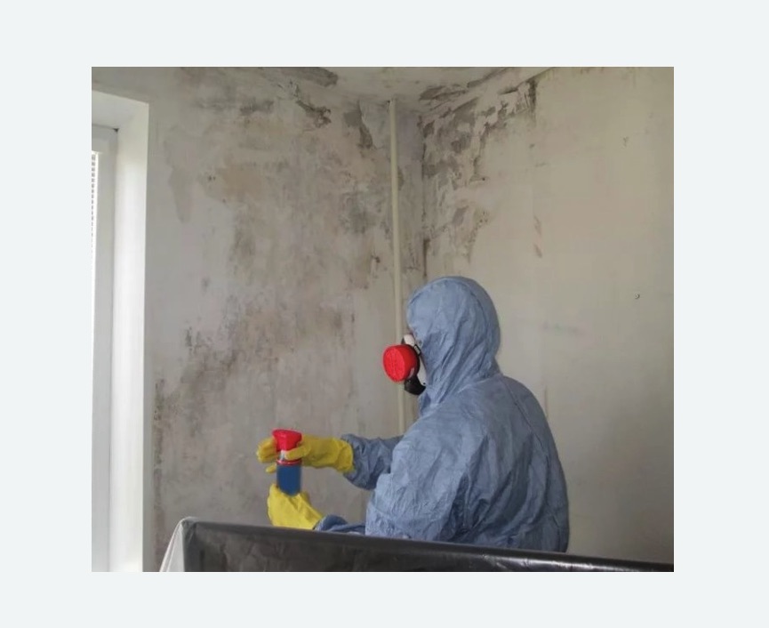 Удаление плесени в квартире в Городище