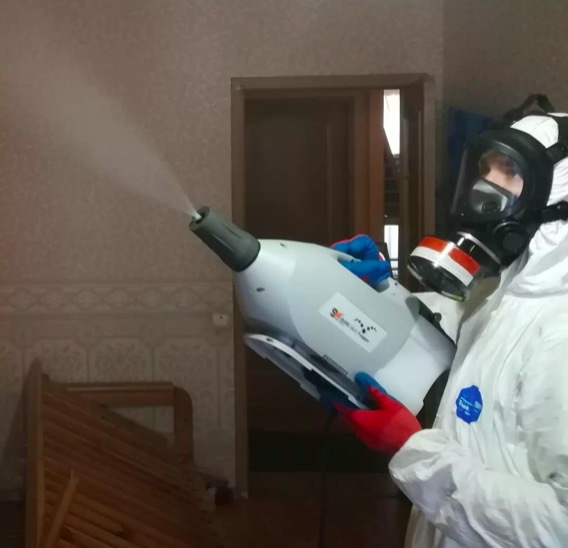 дезинсекция помещения в Городище