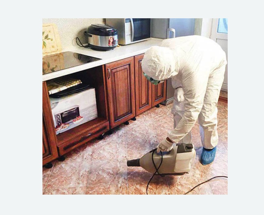 обработка квартиры от клопов в Городище обработка квартиры от клопов