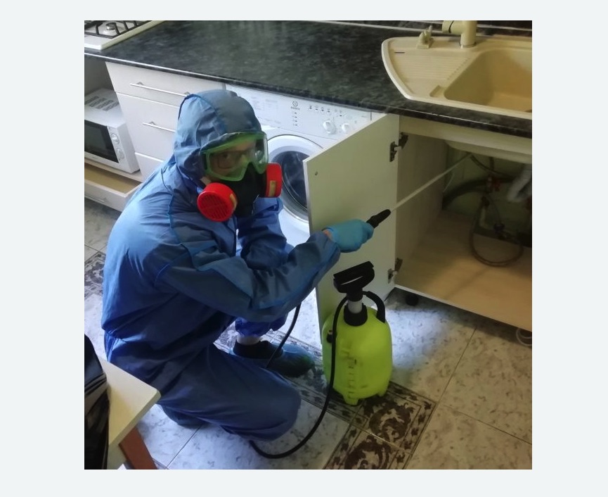 обработка от муравьев в квартире обработка от муравьев в квартире в Городище