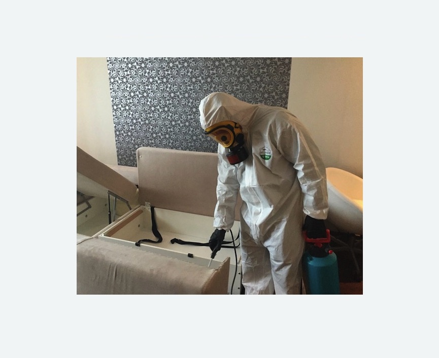 уничтожение клопов в квартире уничтожение клопов в квартире в Городище