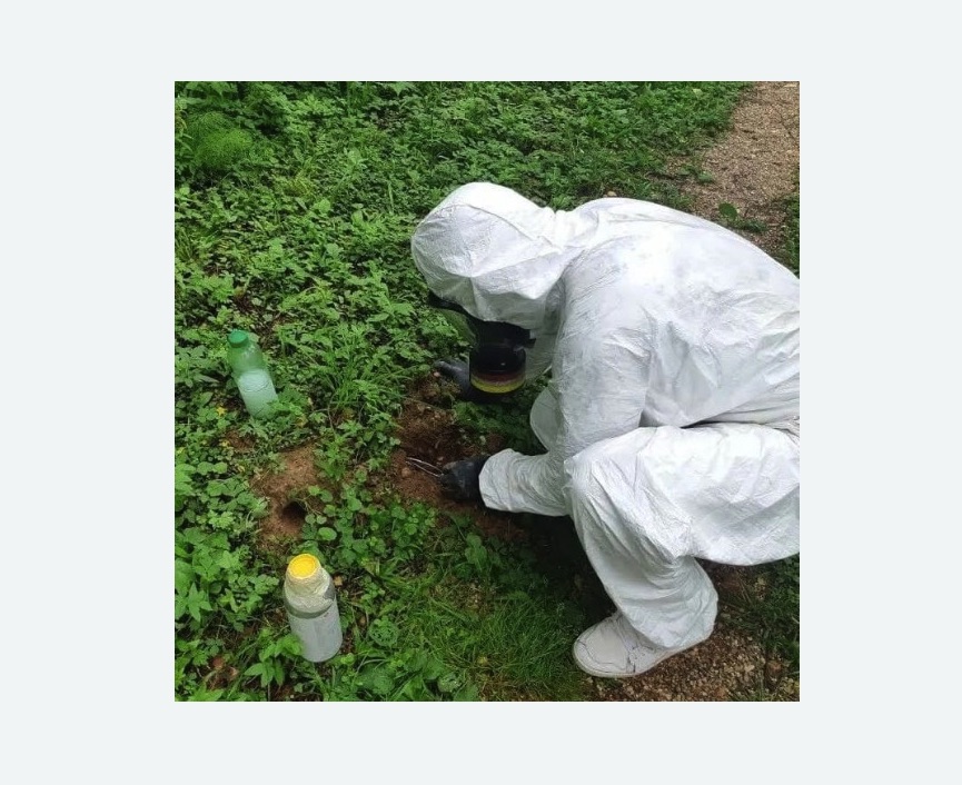 уничтожение кротов на участке уничтожение кротов на участке в Городище